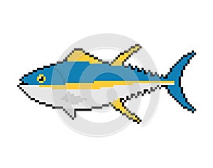 Tuna pixel art. pixelated tunny Seafood fish. 8 bit vector illustration