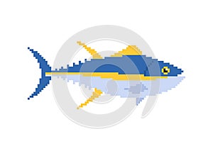Tuna pixel art. pixelated tunny Seafood fish. 8 bit vector illustration