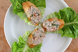 Tuna pÃ¢tÃ©