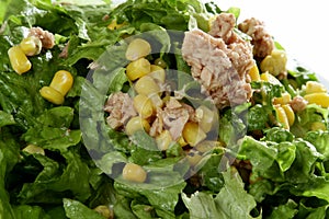 Tuna salad