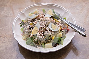 Tuna Salad with boiledegg