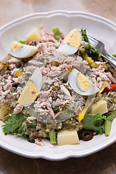 Tuna Salad with boiledegg