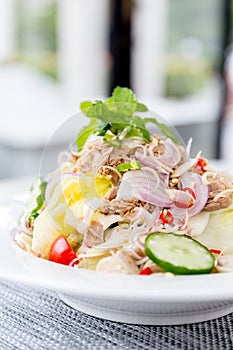 Tuna Salad with Fresh Vegetable