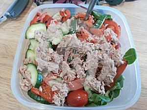 Tuna salad healthy lunch food green red