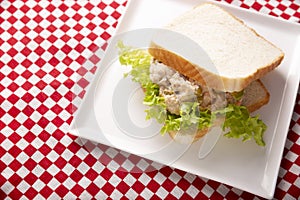 Tuna salad sandwich homemade lunch