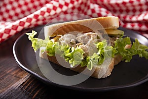 Tuna salad sandwich lunch closeup