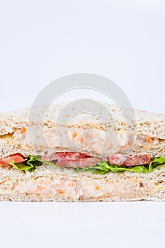tuna salad sandwich