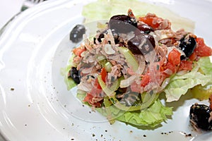 Tuna salad with vegetables... photo