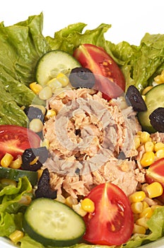 Tuna salads photo