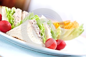 Tuna sandwich with cherry tomatoes
