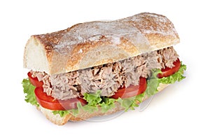 Tuna sandwich photo