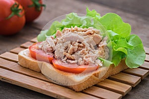 Tuna sandwich with vegetables