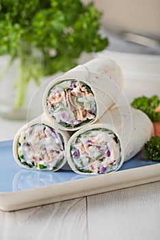 Tuna wraps with cucumber onion and mayonnaise