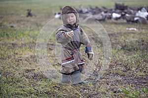 Tundra, The extreme north, Yamal, the pasture of Nenets people, children on vacation playing near reindeer pasture