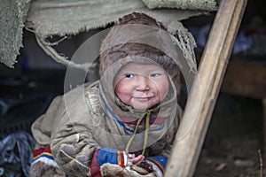 Tundra, The extreme north, Yamal, the pasture of Nenets people, children on vacation playing near reindeer pasture