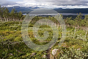 Tundra Landscape photo