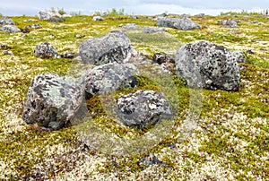 Tundra landscape in Murmansk region