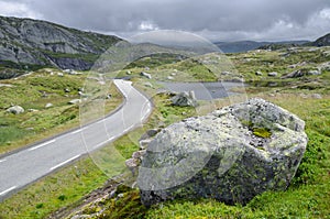 Tundra landscape with tarmac road, rocks and arctic plants