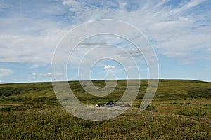 The tundra leads to the mountains. Plenty. Clear summer day. Wildlife travel concept