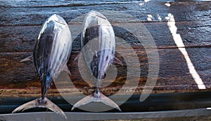 Tune fish lie on market table