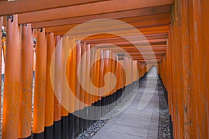 Tunel and Toriis path in Fushimi Inari-Taisha in Kyoto during Hanami