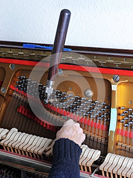 Tuner inside of a piano with little hammer