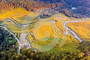 Tung Bua Tong Mexican sunflower field at Mae Hong Son Province in Thailand