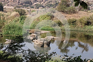 Tungabhadra River, Hampi, near Hospete, Karnataka, India