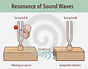 Tuning Fork resonance experiment. When one tuning fork is struck, the other tuning fork of the same frequency will also vibrate in photo