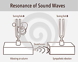 Tuning Fork resonance experiment. When one tuning fork is struck, the other tuning fork of the same frequency will also vibrate in photo