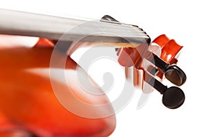 Tuning pegs view of cello on white background