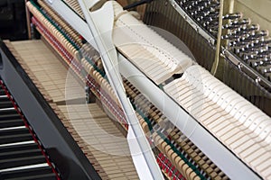 Tuning Your Piano