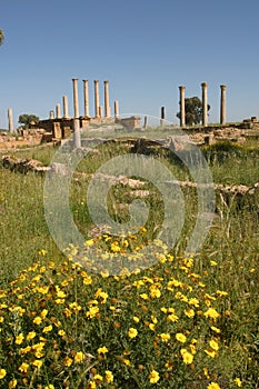 Tunis, Tuburbu Majus, the archeologic roman site.