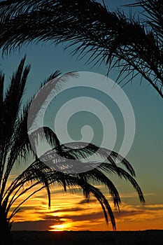 Tunisia sunset photo