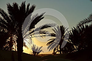 Tunisia sunset