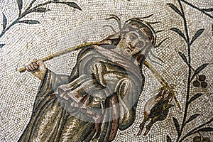 Tunisia. Tunis. Bardo Museum. A Roman fresco mosaic representing a peasant. Fragment