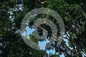 Objects and outdoors