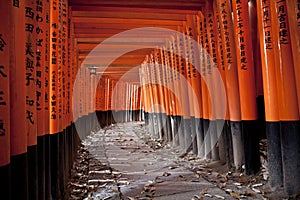 Tunnel of 10000 torii gates