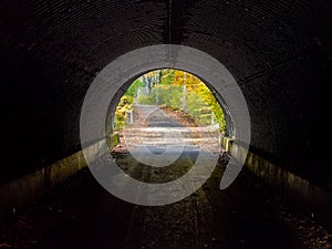 Tunnel, Bikepath in Autumn Forest, Light at the end of the Tunnel