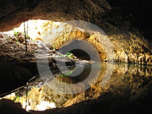 Tunnel Creek Cave