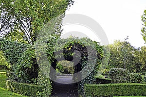 Tunnel of flowers and plants in a municipal park in Adare, County Limerick, Ireland