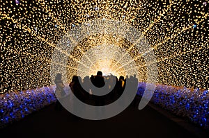 The tunnel of light in Nabana no Sato garden at night in winter, Japan