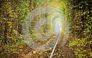 Tunnel of love photo