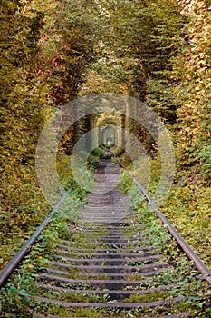 Tunnel of love