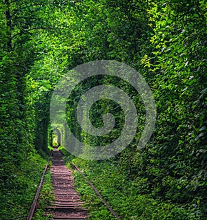 Tunnel of Love near Klevan, Ukraine