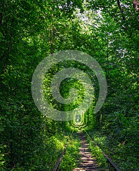 Tunnel of Love near Klevan, Ukraine