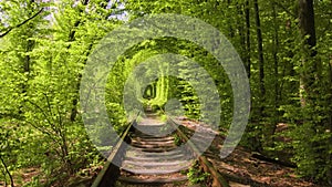 Tunnel of Love, Romantic Place, Klevan, Ukraine, Nature, Park, Railway