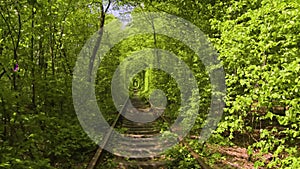 Tunnel of Love, Romantic Place, Klevan, Ukraine, Railway, Park, Nature