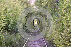 The Tunnel of Love. Wonders of nature. A natural arch formed by intertwined trees above a railway. Arch of Green tunnel