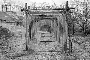 A tunnel made of wooden sticks over an old stone path. Black and white photo